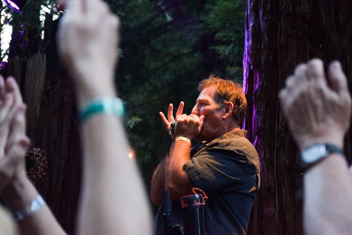 Catfish Jack playing harmonica on an outdoor stage among redwoods, with the crowd's hands raised in the foreground